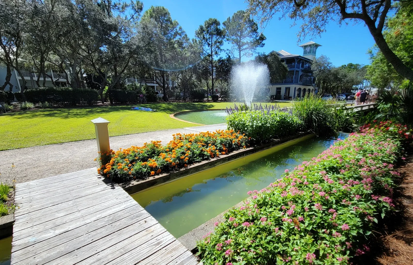 Photo of Cerulean Park