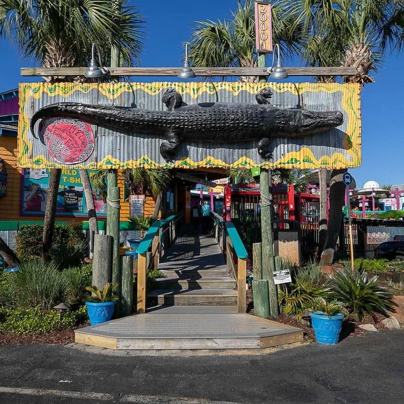 Fudpucker's entrance with large alligator sign in Destin