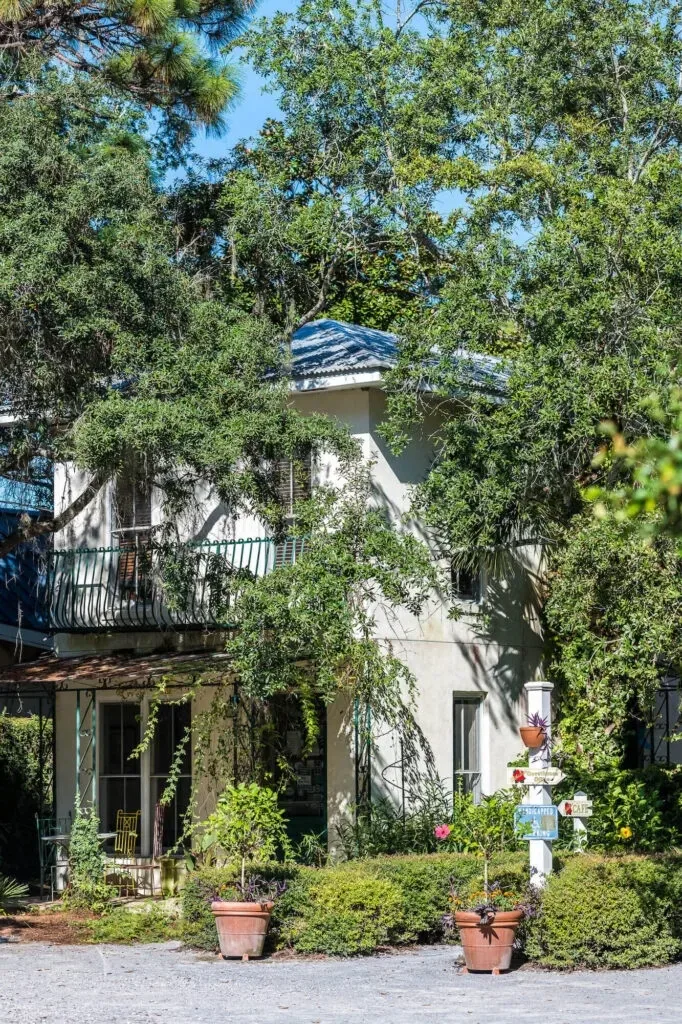 Hibiscus Coffee & Guesthouse building surrounded by trees and garden plants.