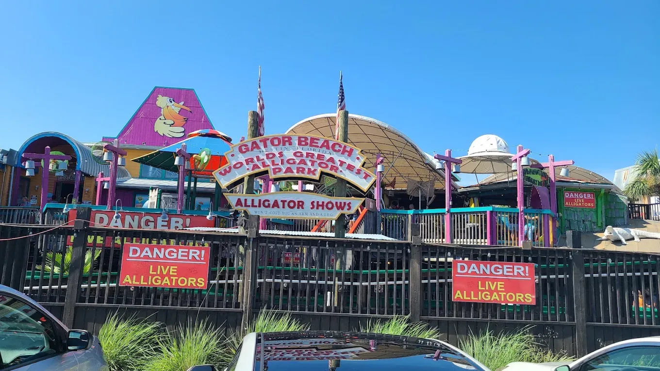 Photo of Gator Beach
